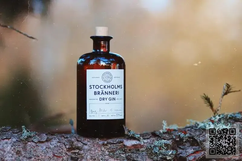 SERENDIPITY INTERNATIONAL LIMITED