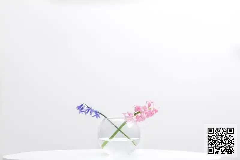 WXUS ASIA INVESTMENT LIMITED