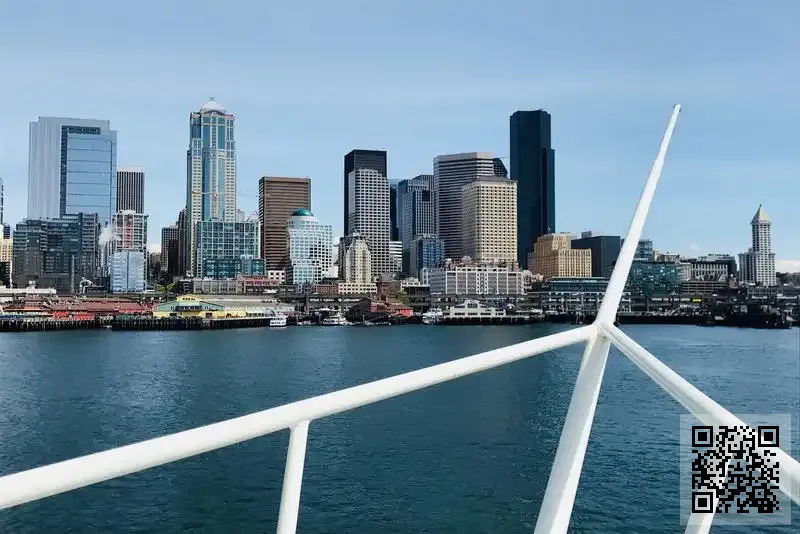 VENUS OVERSEAS INC. LIMITED