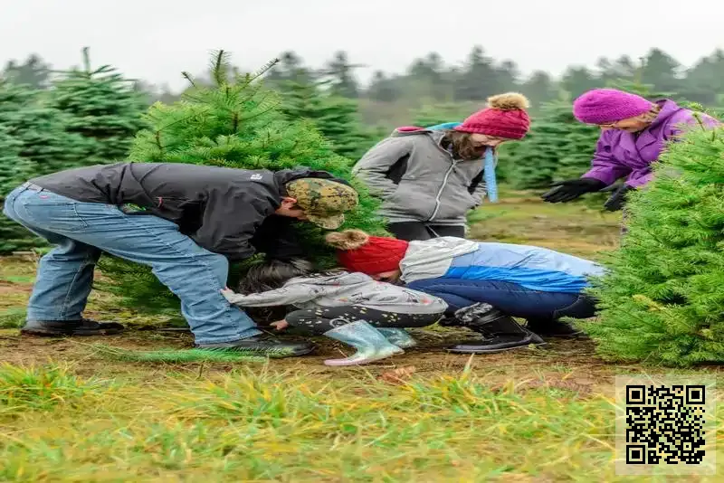 圓美科技有限公司