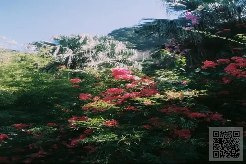 順泰國際(香港)有限公司