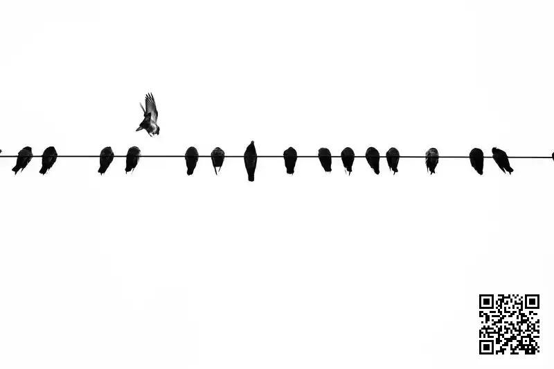 加拿大金恐龍服飾有限公司