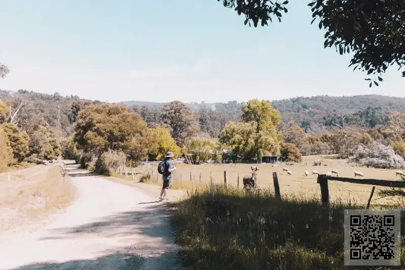 O-Sung Tech Co., Limited