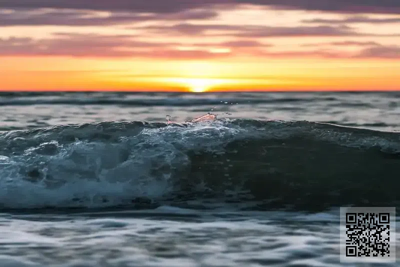 縉輝企業發展有限公司