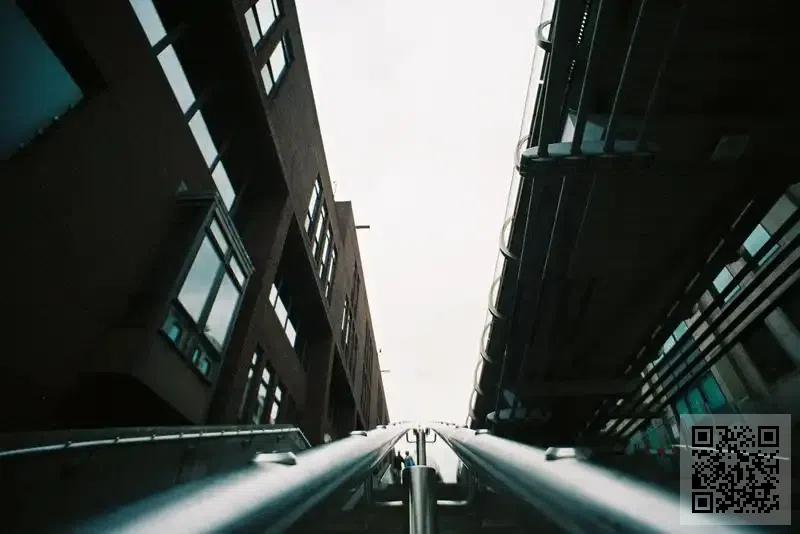 瑞興亞洲有限公司