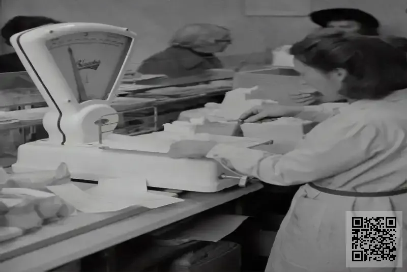 巨馬國際有限公司