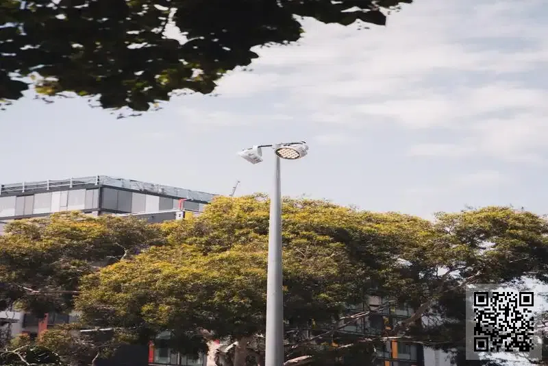 軟網系統有限公司