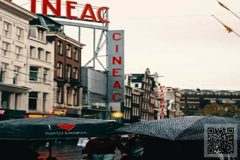 摩点科技有限公司