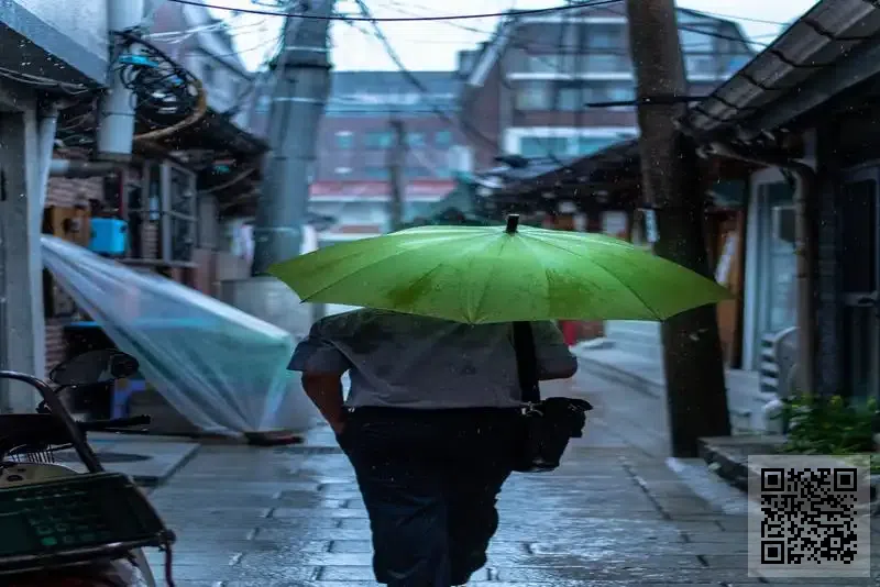 弘澤國際集團有限公司