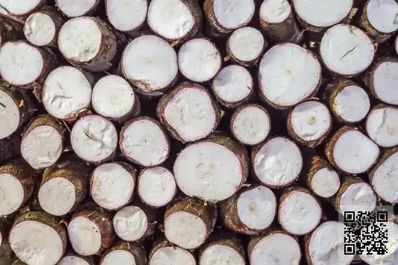 香港文豐國際紡織貿易有限公司