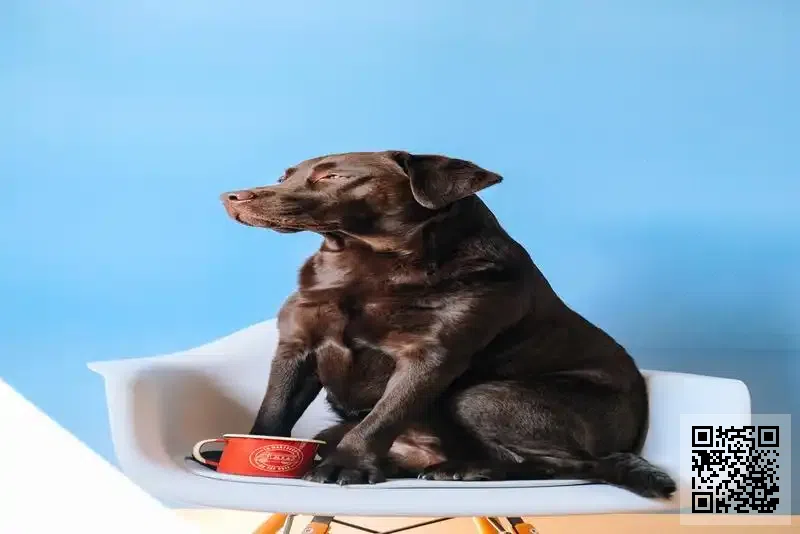 柏爾(香港)有限公司