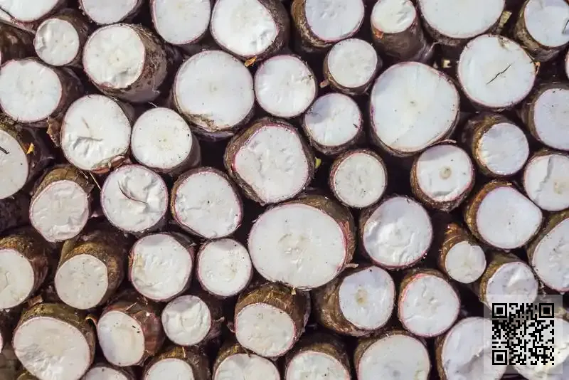 駿一地產代理有限公司