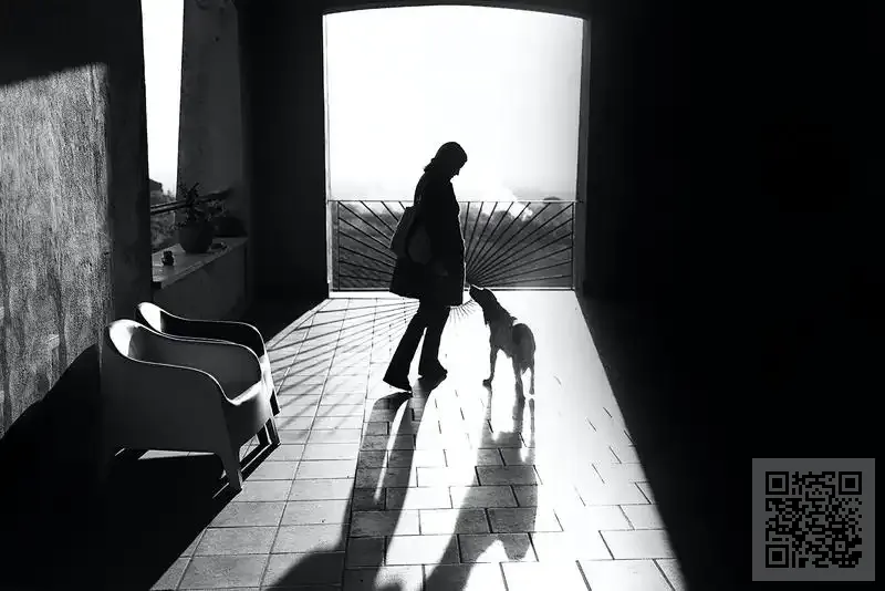 森泰國際實業有限公司