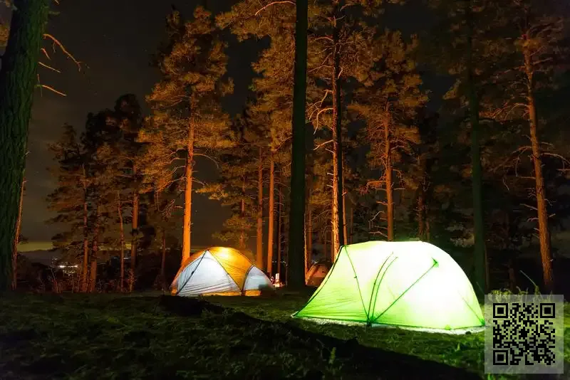 盈多國際貿易有限公司