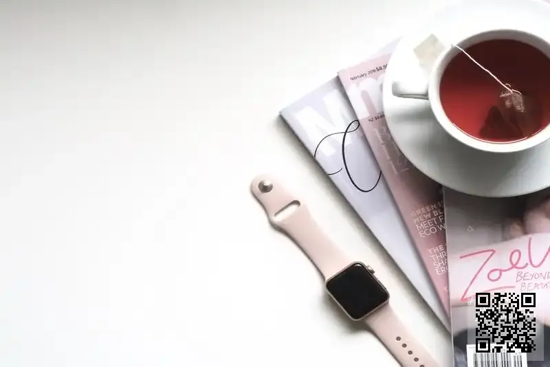 盛銳國際貿易有限公司