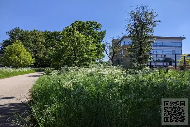 阿菲亞內衣(香港)有限公司