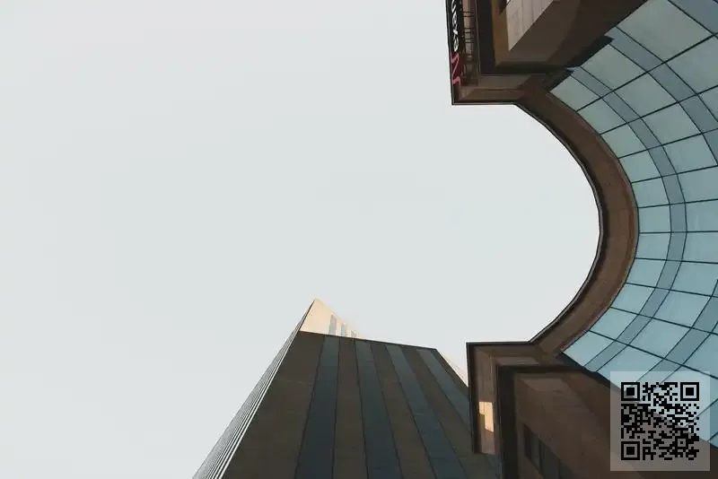 富麗(香港)國際集團投資有限公司