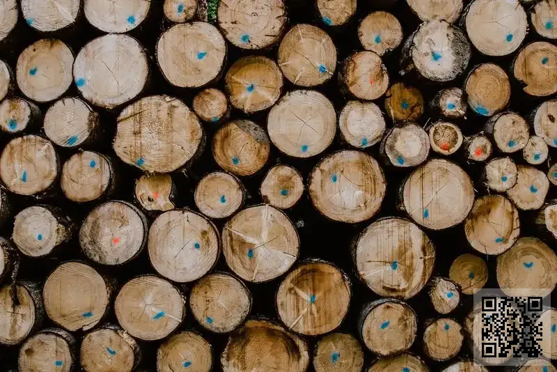 博雅印刷有限公司