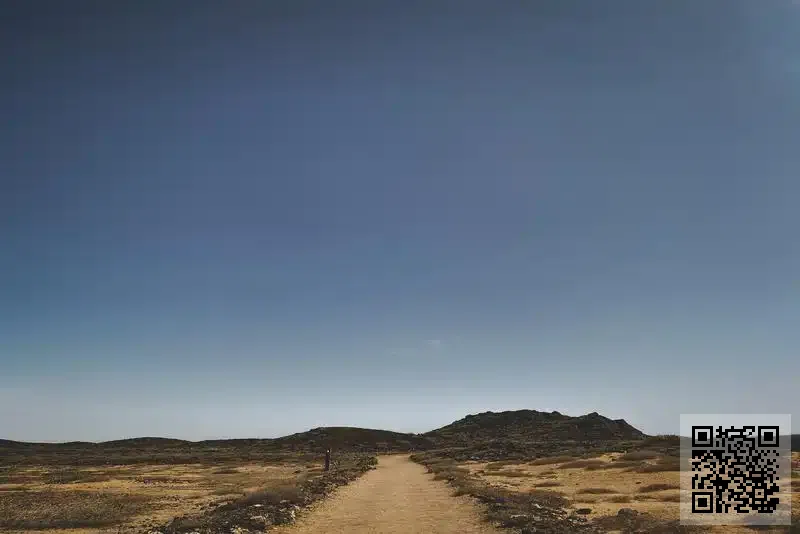 ORCHID INNOVATIONS HK LIMITED