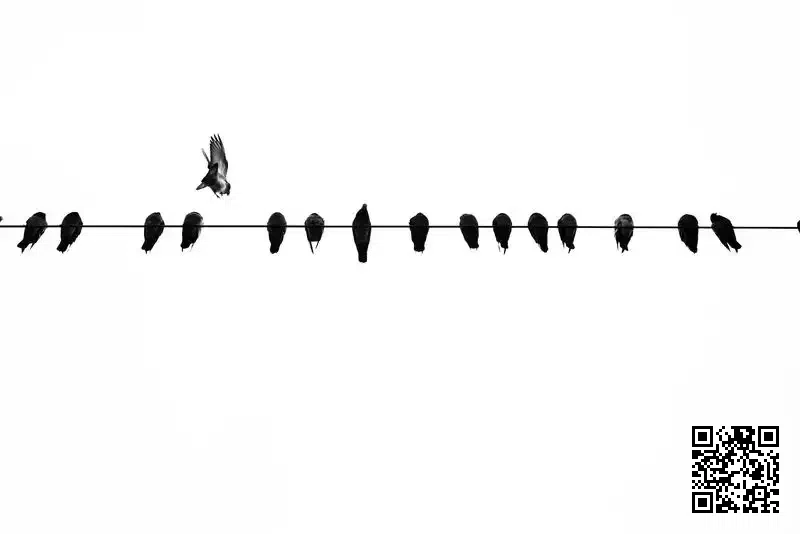 友聯光電股份有限公司