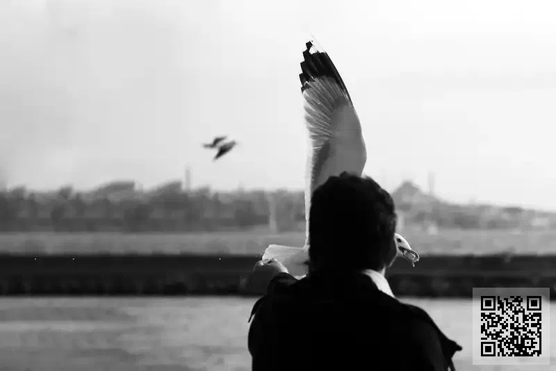 浚鴻工程有限公司