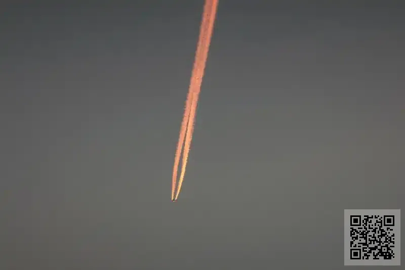 Global Logic Company Limited