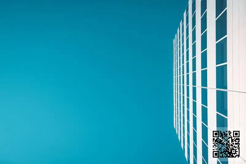 MANDATE CHIPS & CIRCUITS (HK) LIMITED