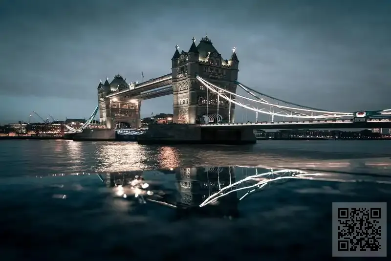 新大電子有限公司