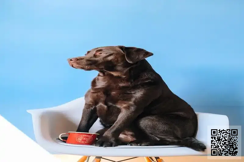 沛富國際有限公司