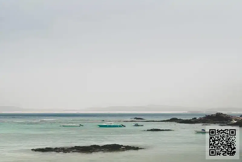 AKTIV DIGITAL HONG KONG PTE LIMITED