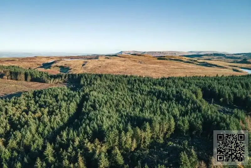 豐雄國際有限公司