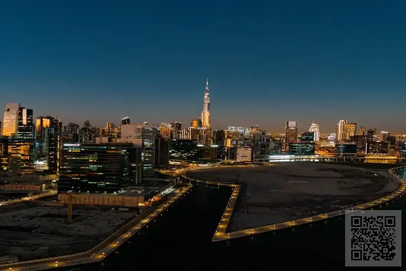 掌星電子有限公司