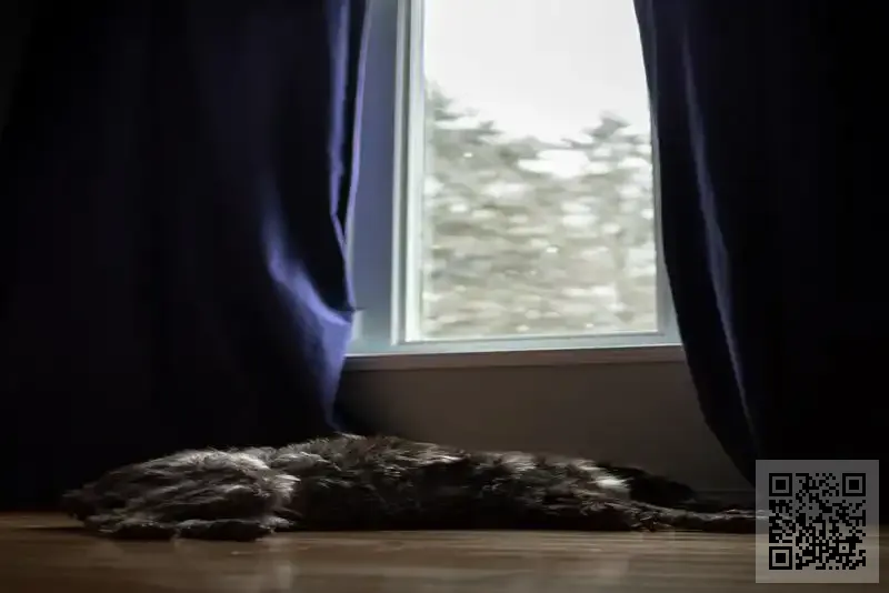 香港德瑞國際控股有限公司