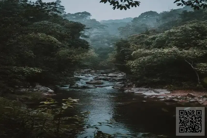 中興亞太投資有限公司