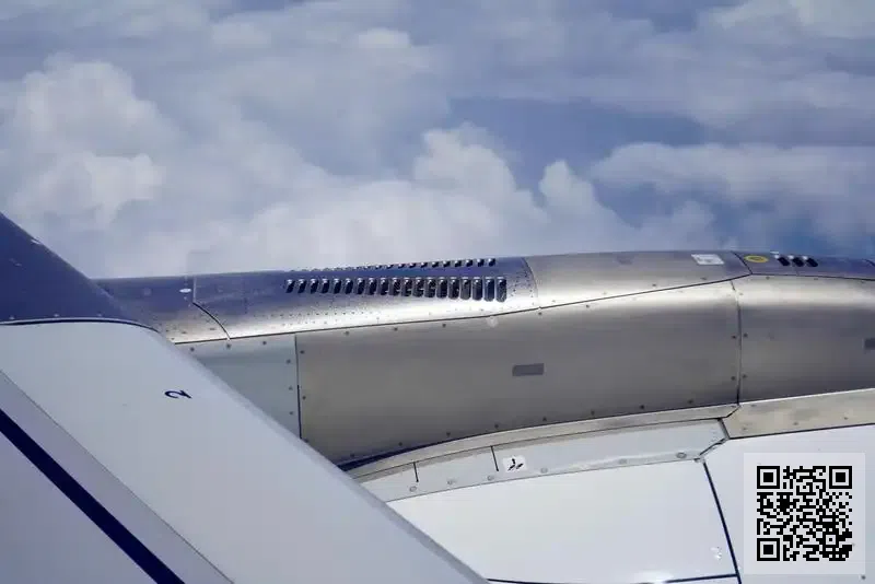 晨欣國際有限公司