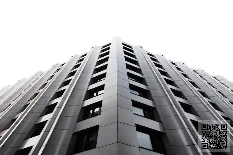 中國社會觀察出版有限公司