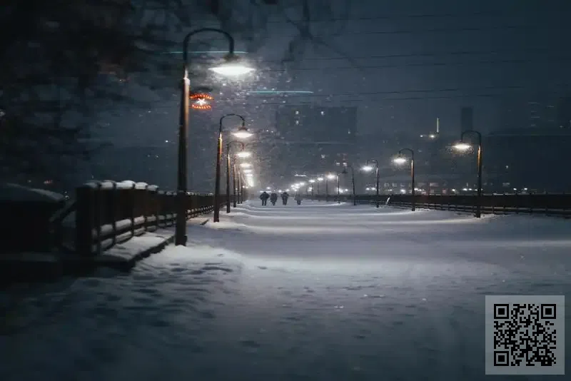 WORLD AIRLINE SERVICES LIMITED