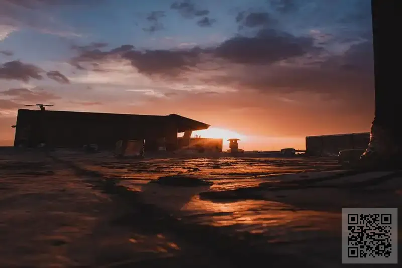 香港大內密探有限公司