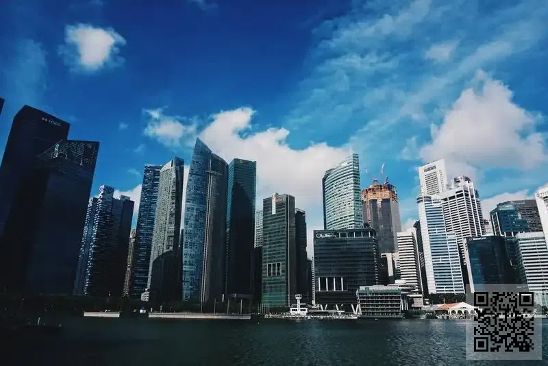 海峽發展控股有限公司