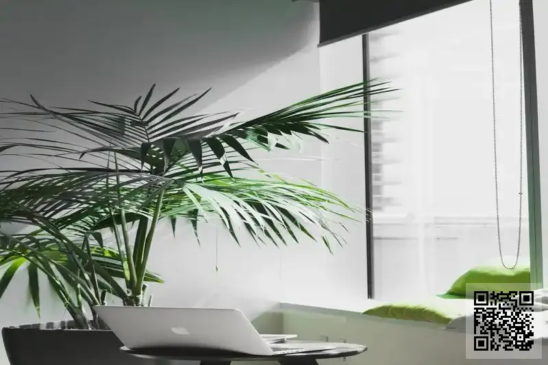 中齊國際實業有限公司