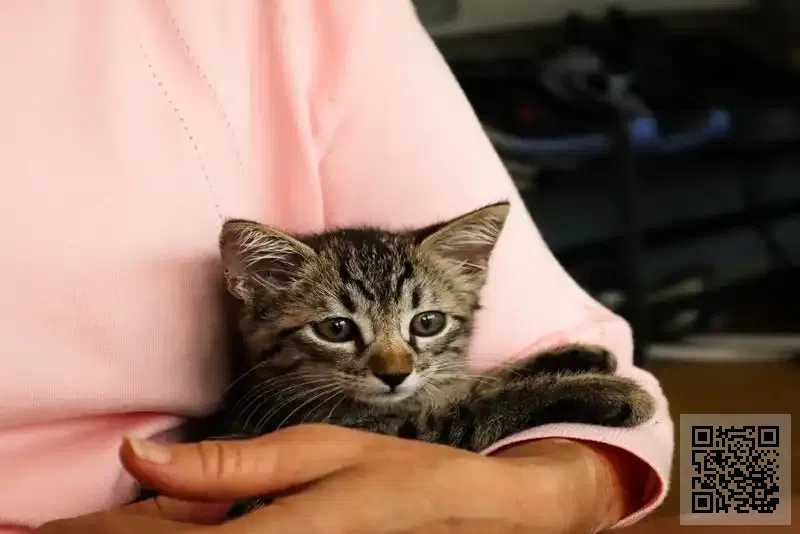 Calibre Management International Limited