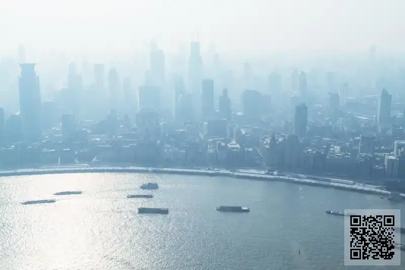 鴿子圓有限公司