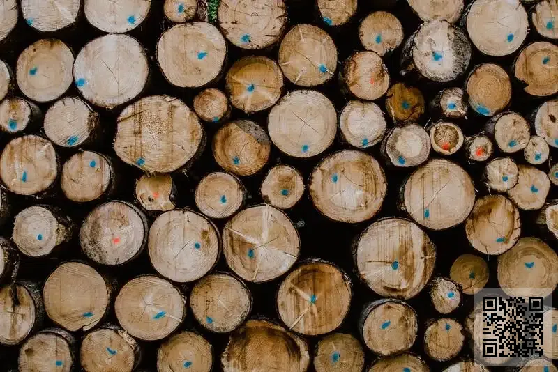 國康(香港)中醫藥研究及製造企業有限公司