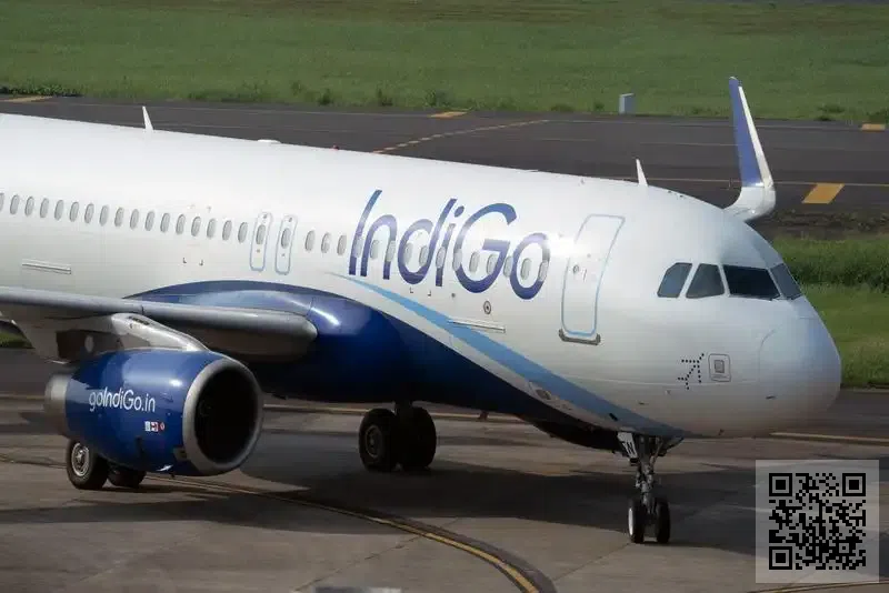 金軟(國際)投資集團有限公司