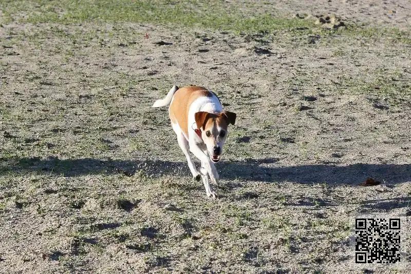 旭能環球有限公司