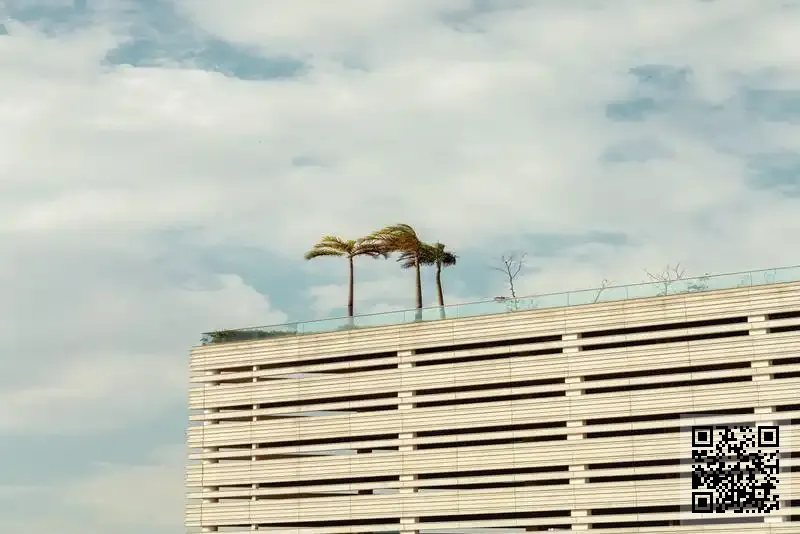 暢頓科技(香港)有限公司