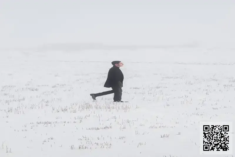 QUALITY CONTROL LINK COMPANY LIMITED