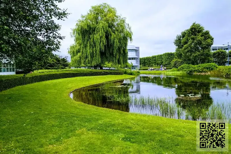 君焯(香港)有限公司