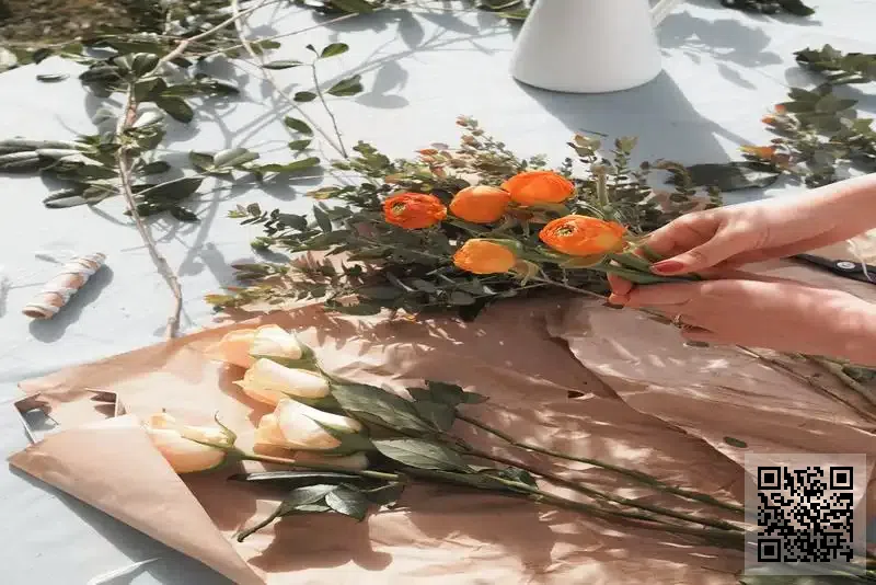 Bridge Continents Asia Limited