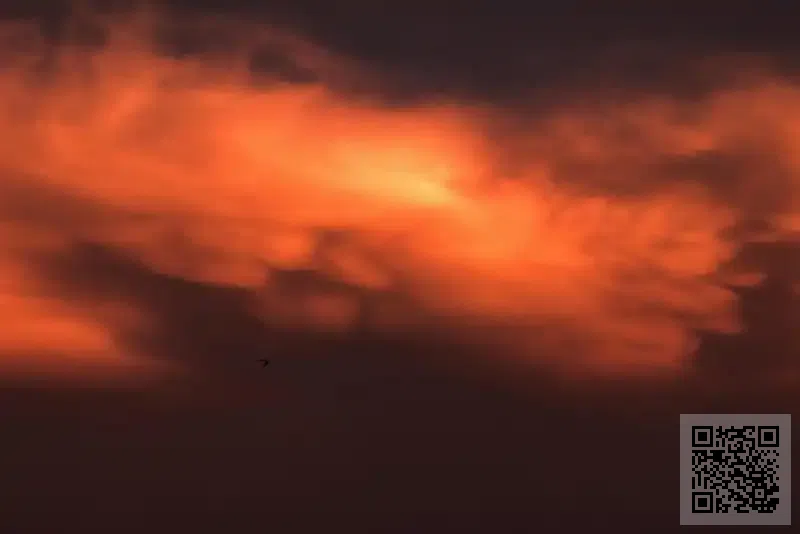 Magna Technology Limited